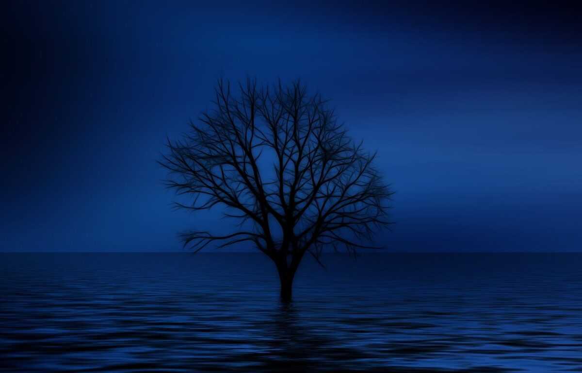 tree, bald, psychology, lonliness, isolation, sadness, dream, imagination, sad, lake, sea, waves, nature, seem, light, reflection, tristess, ocean, the atmosphere, silence